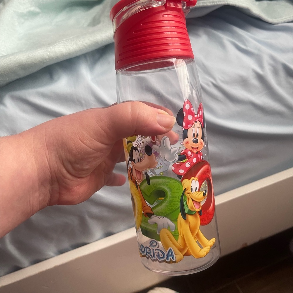 Souvenir water bottle with all Disney characters design 2020 edition - Picture 2 of 5